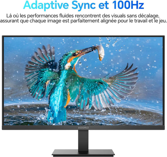 Ecran 100Hz KOORUI